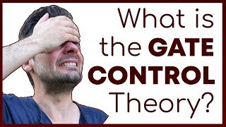 What is the Gate Control Theory of Pain  How Pain Perception Works  Corporis [upl. by Icrad]