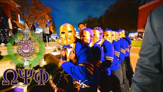 Omega Psi Phi  Magnificent Xi Zeta Chapter  Fall 2024 New Initiate Presentation Univ of Memphis [upl. by Rutra]