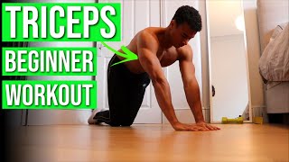 8 Home Tricep Exercises for Beginners — NO EQUIPMENT Workout Routine [upl. by Yulma79]