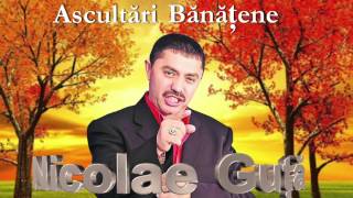 NICOLAE GUTA  COLAJ BANATENE [upl. by Mclaurin]