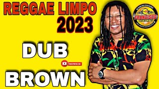 DUB BROWN  REGGAE LIMPO 2023 💥😱💥 [upl. by Enoek]