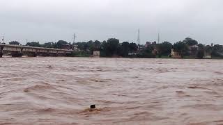 Daltonganj Koyal River Above Danger level [upl. by Down]