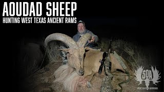 Texas Aoudad Sheep Hunt [upl. by Hultgren217]