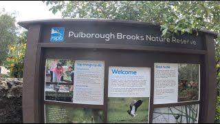 RSPB Pulborough Brooks Sussex England [upl. by Enelec]