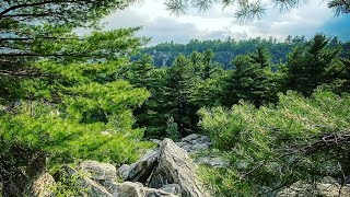 Mohonk Mountain House Labyrinth amp Lemon Squeeze Hike🥾Rock Scramble — average guy tested APPROVED [upl. by Aleciram]