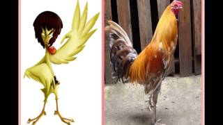 Un gallo con muchos huevos Ver Plot 30s En NoviembreTrailer Cinelatino [upl. by Beach]