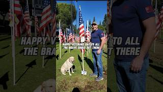 Labrador Retriever’s Veterans Day Tribute Honoring Our Heroes 🇺🇸🐾 dog veteran usa [upl. by Elora]