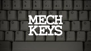 Mechanical Keyboards A Brief Introduction [upl. by Octavian36]