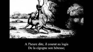 Faune  Les cigognes sont de retour [upl. by Salsbury]