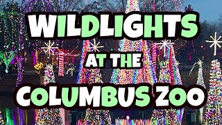 WILDLIGHTS at the Columbus Zoo  January 2024 [upl. by Ralaigh]