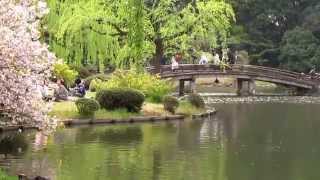 Shinjuku Gyoen  Japanese Park Tokyo ● 新宿御苑 [upl. by Shevlo70]