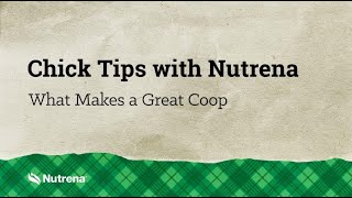 Chick Tips with Nutrena What Makes a Great Chicken Coop [upl. by Nanfa]