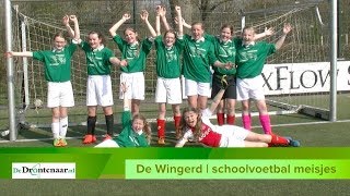 Schoolvoetbal meisjes De Wingerd  De Zevensprong 31 [upl. by Lagiba]