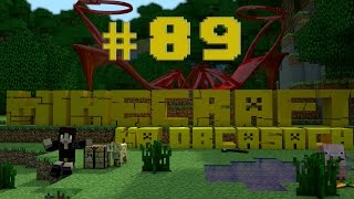 Minecraft na obcasach  Sezon II 89  Odnaleziony kotek się zgubił [upl. by Edora468]