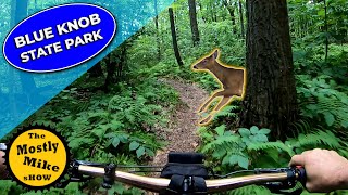 Riding one of Pennsylvanias Best MTB Downhill flow Trails  2020 [upl. by Silber]