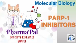 PARP1 Inhibitors ⚕️💊 [upl. by Langelo]