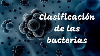 CLASIFICACIÓN DE LAS BACTERIAS [upl. by Mecke]