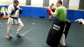 kyokushin trainingpunches amp kick [upl. by Camroc]