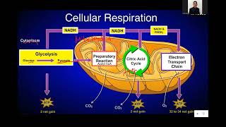 Crop Science Q amp A  Photosynthesis and Cellular Respiration [upl. by Willetta]