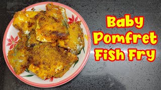 Baby Pomfret Fish Fry  Small Pomfret Fish Fry  Paplet Fry [upl. by Adnerad]