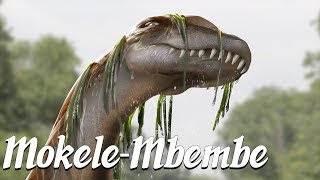 Mokele Mbembe Mysterious Legends amp Creatures 3 [upl. by Allveta29]