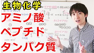 【大学・薬学部の生物化学】アミノ酸・ペプチド・タンパク質の構造と分類【薬と病気の基礎】【ジェイズJz Channel】 [upl. by Shlomo]