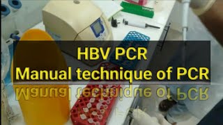 HBV PCR test PCR test Manually [upl. by Anaj]