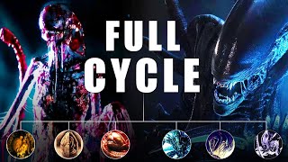 Alien Xenomorph Life Cycle Explained  Egg to Queen and Beyond [upl. by Rutherford255]