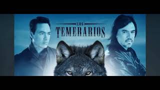 Mix Los Temerarios 2024 [upl. by Nealson41]