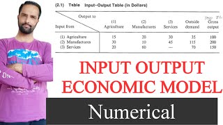 input output economic model numerical [upl. by Norreht]