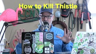 How to Kill Thistle in the Lawn  Controlling Thistle  Canada Thistle  Bull Thistle [upl. by Eerazed898]