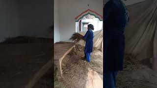 shortvideos maihu gaw ki chori Babu ranglaharisong lovemusic 🥰🥰🥰🥰🥰🤪🤪🤪😁🤗😁😁😘😘😘💕💕❤️❤️ [upl. by Latton]