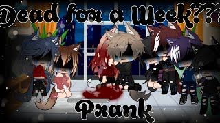 DEAD FOR A WEEK PRANK The most epic fail Different content  Audrey Cookie [upl. by Klement]