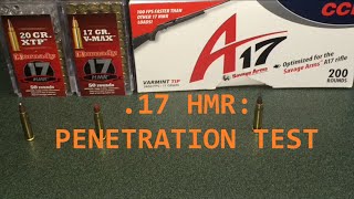 17 HMR PENETRATION TEST [upl. by Tterraj]