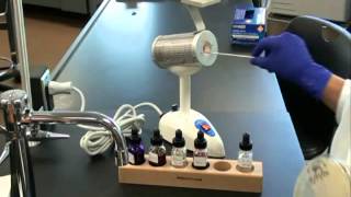 How to Prepare a Bacterial Smear for Gram Stain [upl. by Eirrahs782]