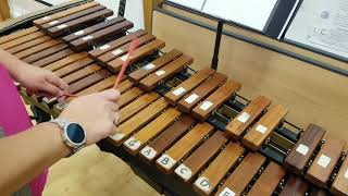 See You Again  Higher Xylophone  Larkhall Academy [upl. by Colby]