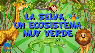 LA SELVA UN ECOSISTEMA MUY VERDE [upl. by Aisenet268]