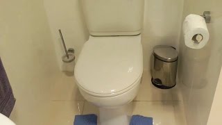 Bathroom RENOVATION  repairing a glued leaking toilet cistern [upl. by Sheeree]