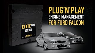 🔍 PlugnPlay ECU for Ford Falcon quotBarraquot Explained [upl. by Akemej966]