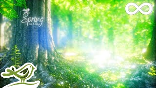 How to Relax in Hindi  Heartfulness Guided Relaxation in Hindi [upl. by Brinna]