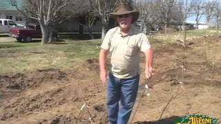 Backyard Orchard Demo  planting [upl. by Hanoj296]