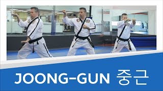 JoongGun 중근  Blue Belt Taekwondo America Form [upl. by Eiral]