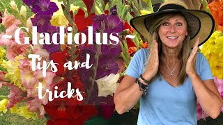 Gladiolus Tips and Tricks  Kelly Lehman [upl. by Ajoop]