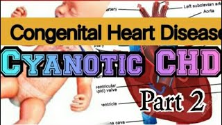 CONGENITAL HEART DISEASE CYANOTIC CHD Simplified in HINDI [upl. by Pearle]