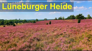 Lüneburger Heide  Unterwegs mit dem Wohnmobil in die Heide [upl. by Ikey]