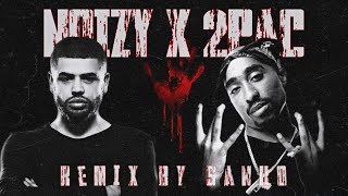 Noizy X 2PacRemix remixby sanko [upl. by Suoivart]