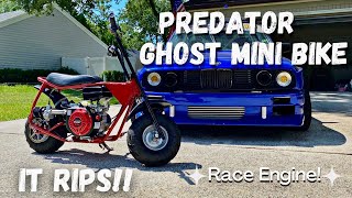 Predator Ghost Mini Bike Build The Ultimate Pit Bike Race Engine [upl. by Suivat]