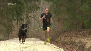 Wenn der Hund das Herrchen führt  Canicross [upl. by Emaj]