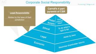 Corporate Social Responsibility  ACCA P1 Revision Theory [upl. by Mallen801]