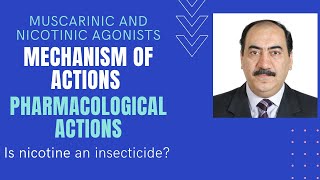 Mechanisms amp pharmacological actions of muscarinic amp nicotinic agonists [upl. by Dlanger]